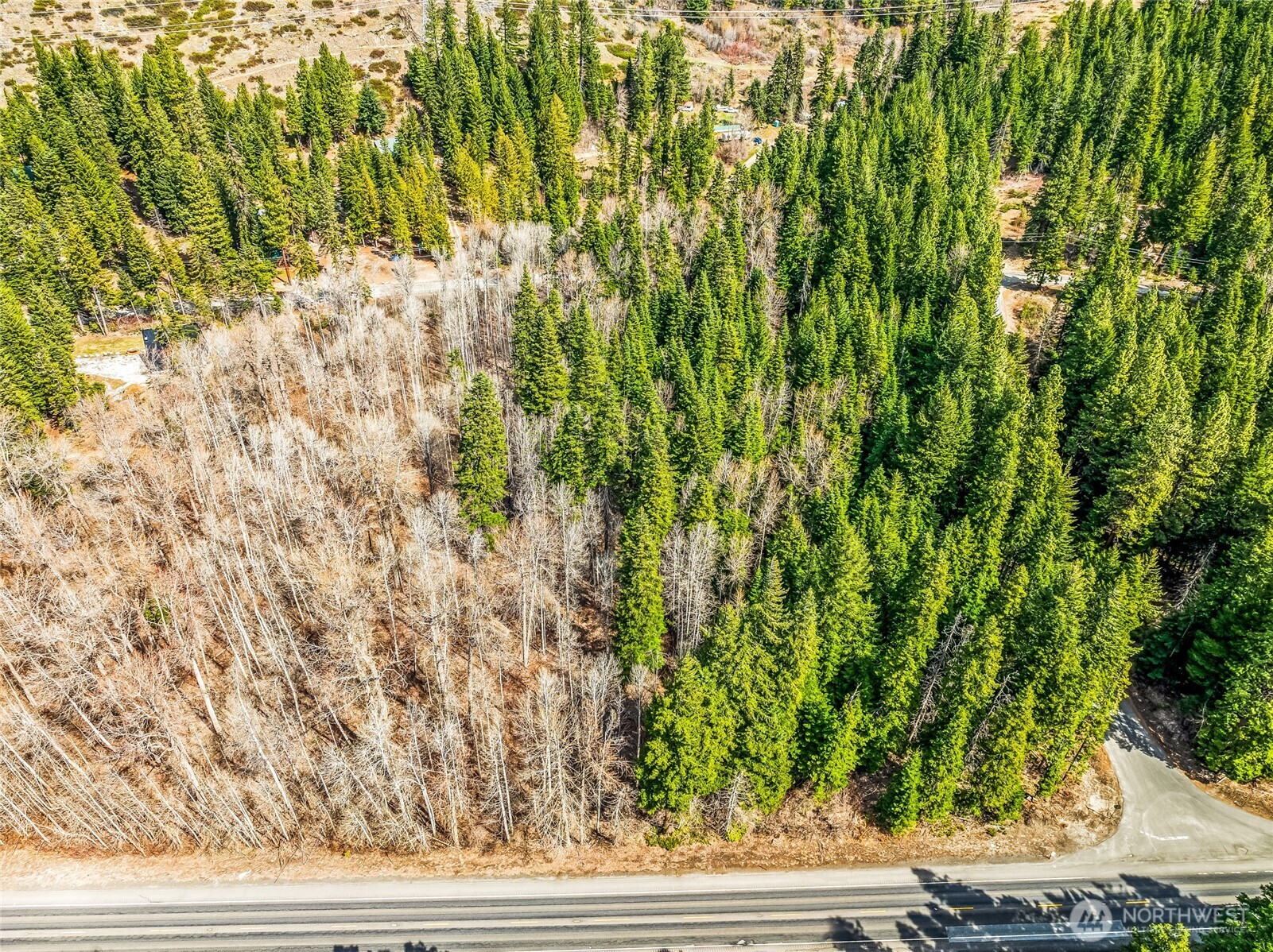 1111 Nason Ridge Road Leavenworth, WA 98826 - Photo 4 of 7 a view of a yard