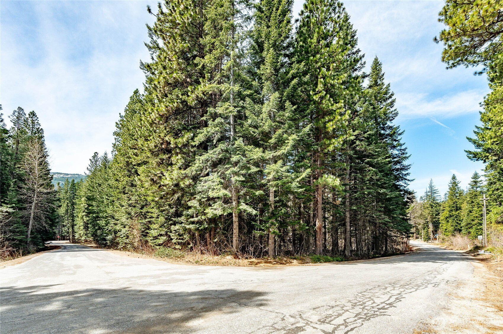 1111 Nason Ridge Road Leavenworth, WA 98826 - Photo 5 of 7 a view of a yard covered with snow in front of house