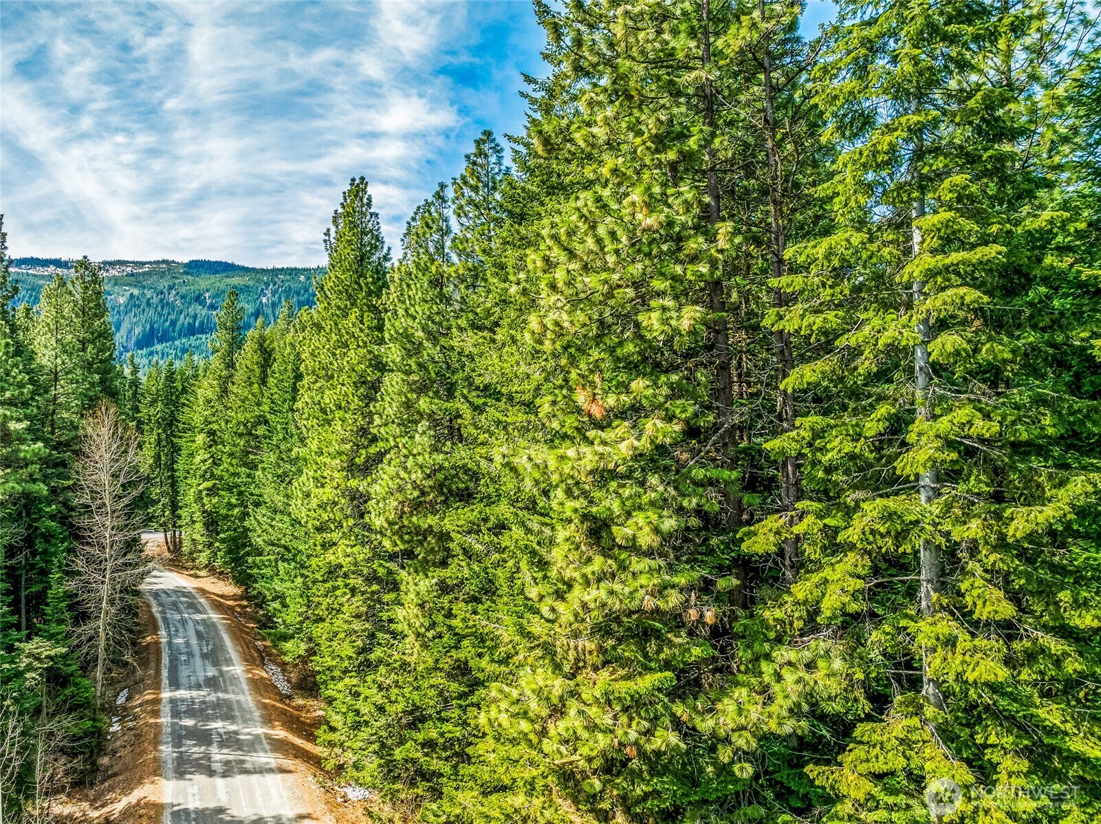1111 Nason Ridge Road Leavenworth, WA 98826 - Photo 6 of 7 a view of a yard with plants
