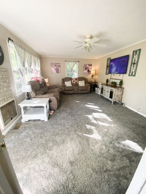 5732 Eva Road Eva, TN 38333 - Photo 10 of 25 a living room with furniture a fireplace and a flat screen tv