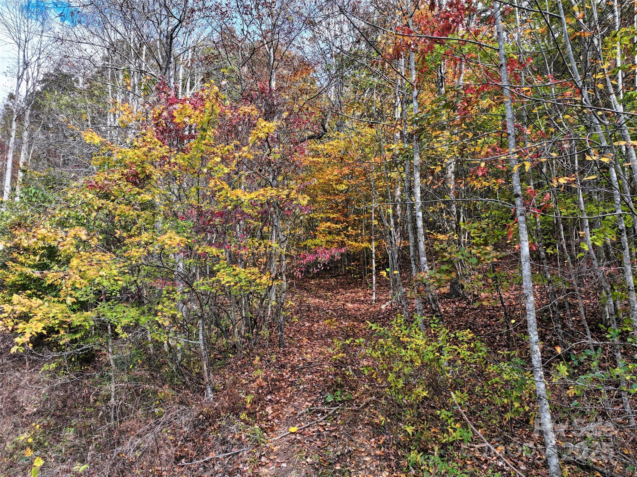 366 Renfro Road Green Mountain, NC 28740 - Photo 16 of 32