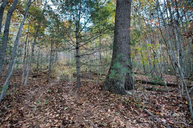 $189,000 | 366 Renfro Road, Green Mountain, NC 28740