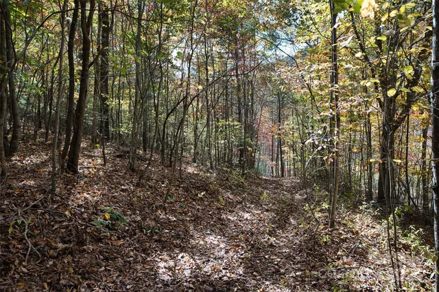 $189,000 | 366 Renfro Road, Green Mountain, NC 28740