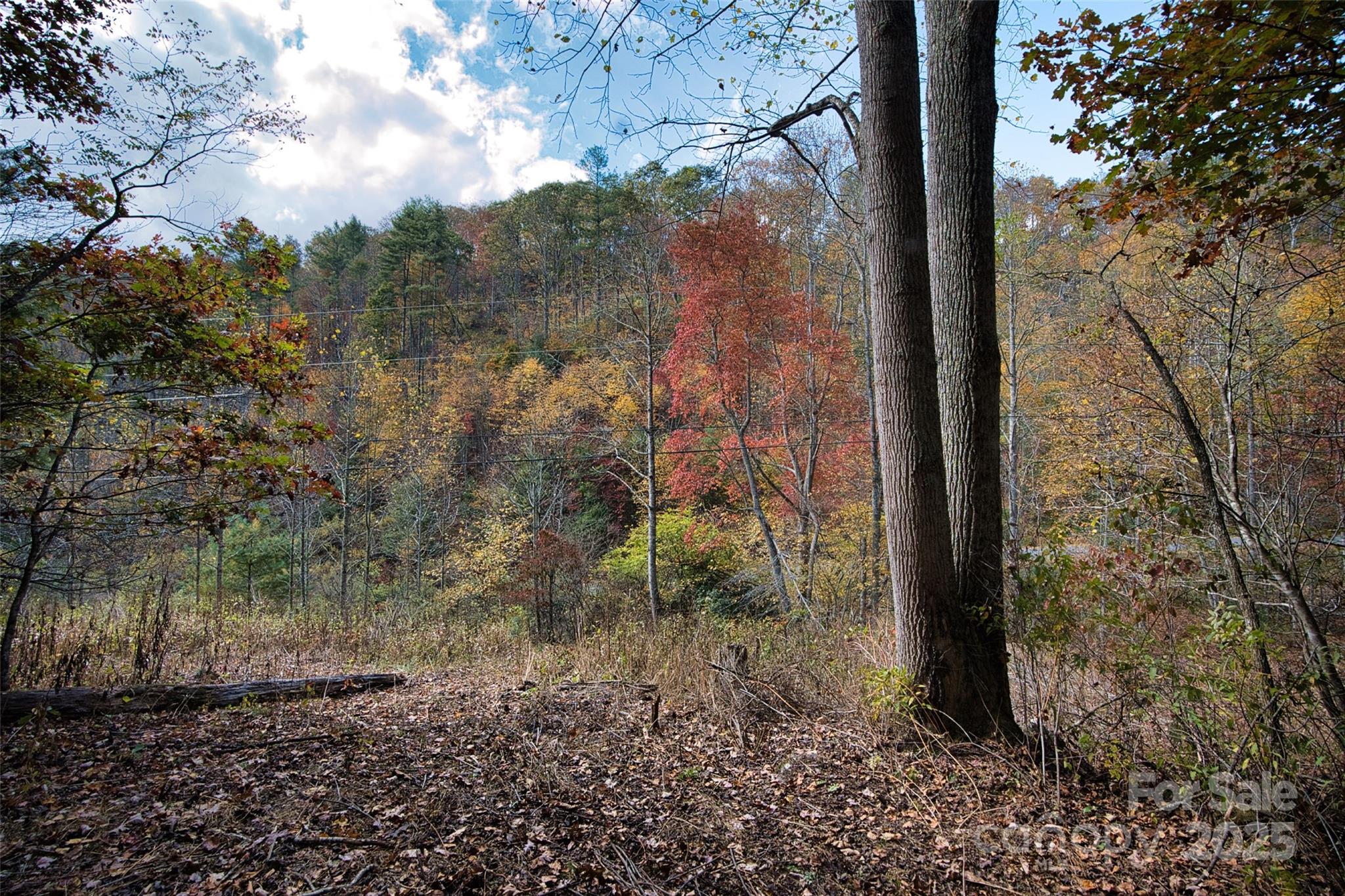 366 Renfro Road Green Mountain, NC 28740 - Photo 28 of 32 a view of a yard