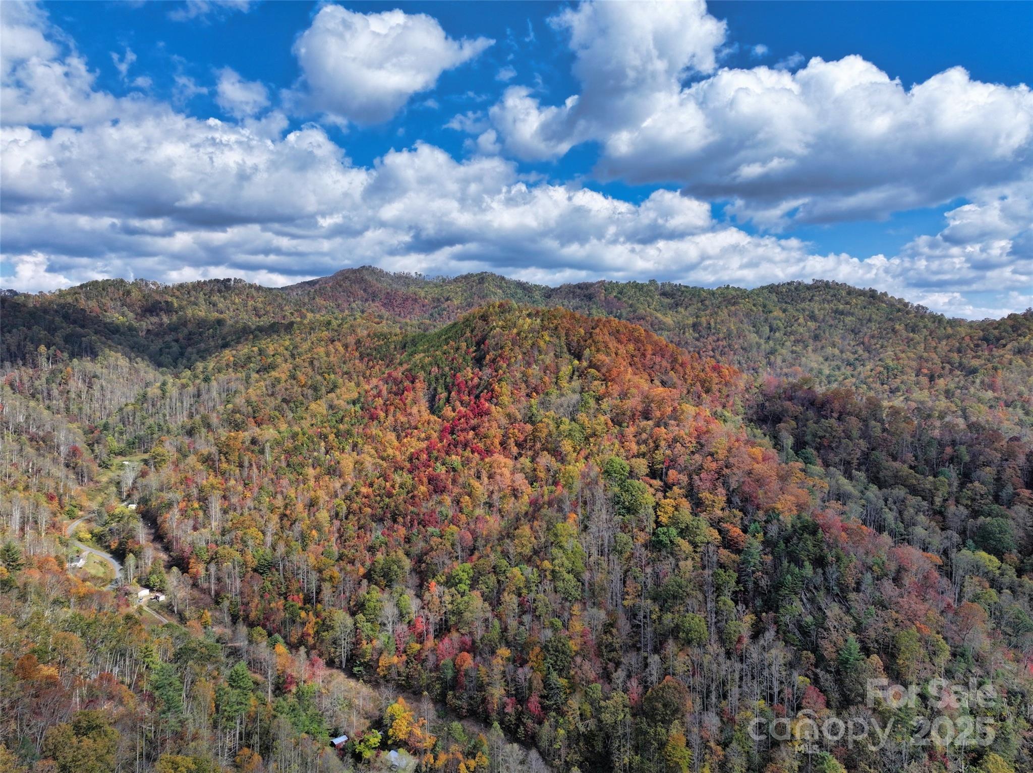 366 Renfro Road Green Mountain, NC 28740 - Photo 4 of 32 a view of a city and mountains
