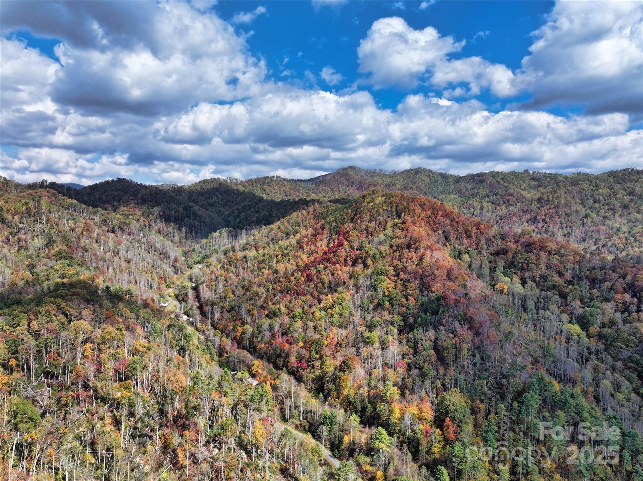 366 Renfro Road Green Mountain, NC 28740 - Photo 5 of 32 a view of a city and mountain