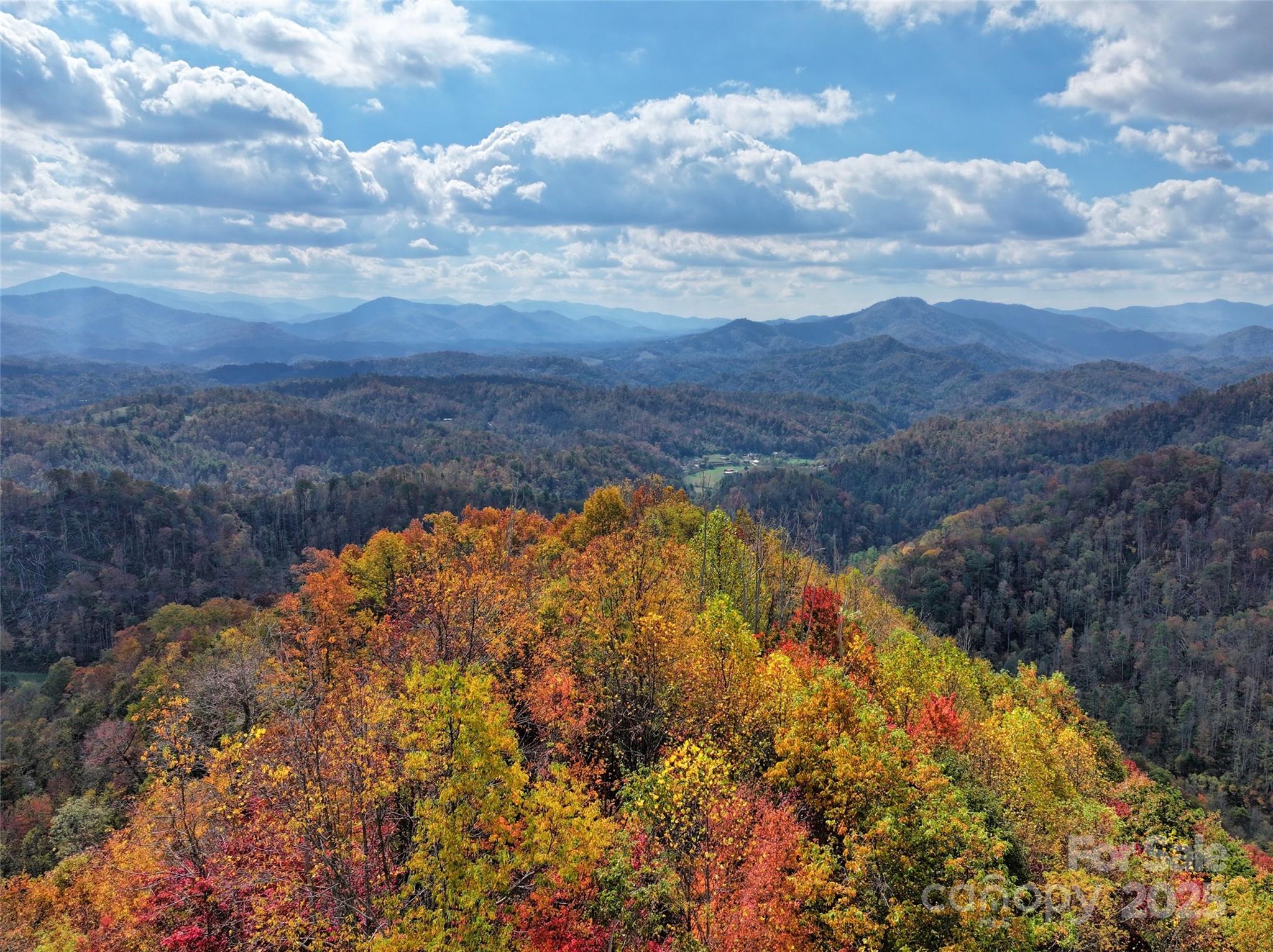 366 Renfro Road Green Mountain, NC 28740 - Photo 6 of 32 a view of lake and mountain