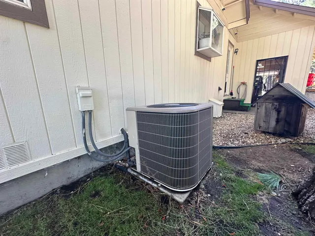 an outdoor view of a garden