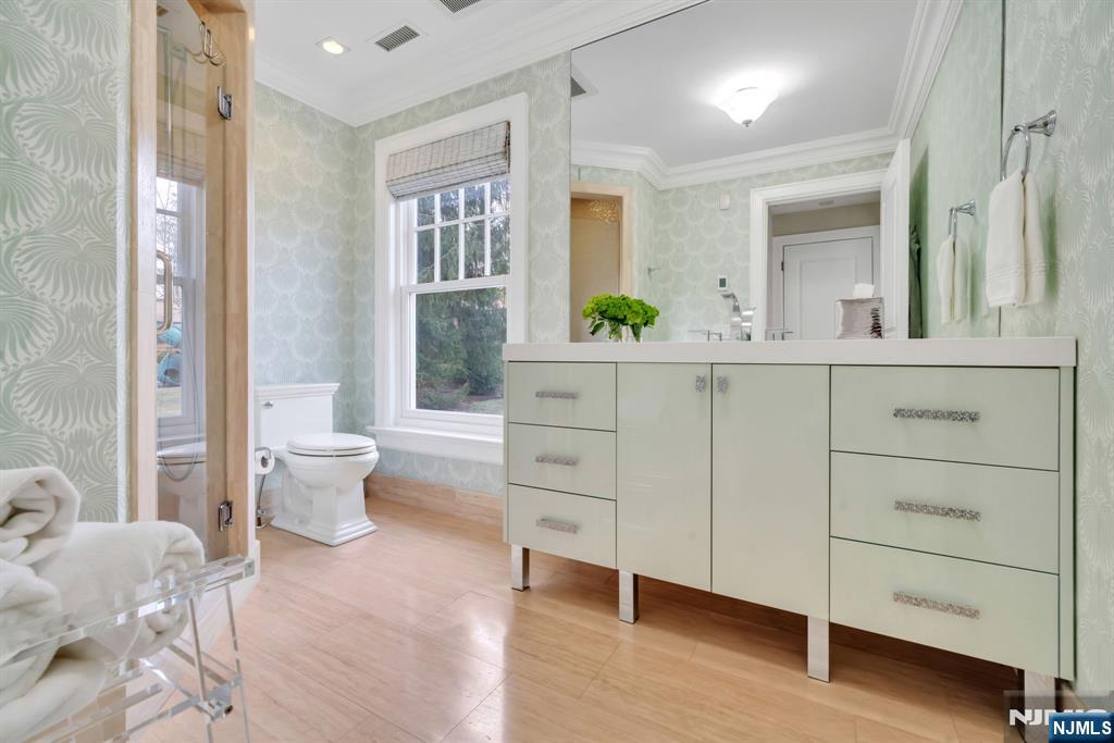 187 Buckingham Road Tenafly, NJ 07670 - Photo 27 of 50 a spacious bathroom with a toilet a sink and a mirror