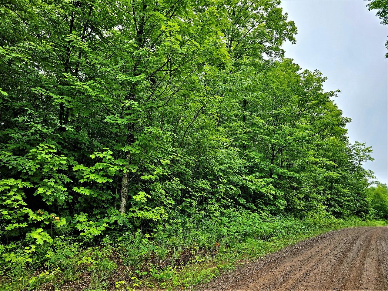 Lot 5 Lake Six Road Hurley, WI 54534 - Photo 11 of 13 Gallery Image 11