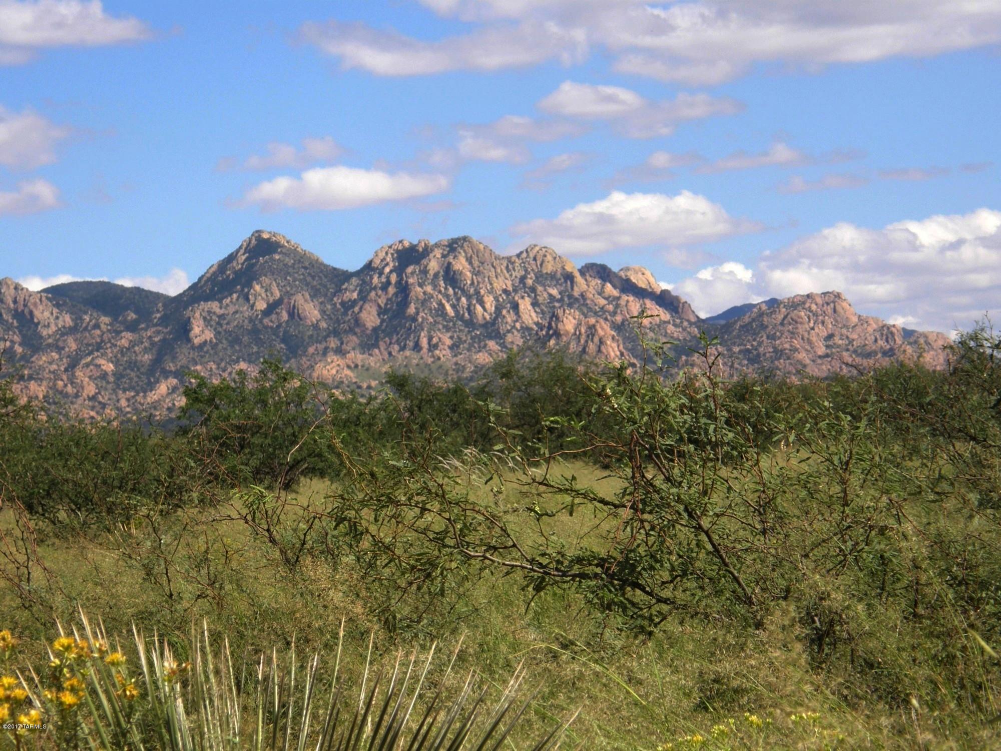 Lot 88 South Kino Road, Unit 88 St. David, AZ 85630 - Photo 3 of 18