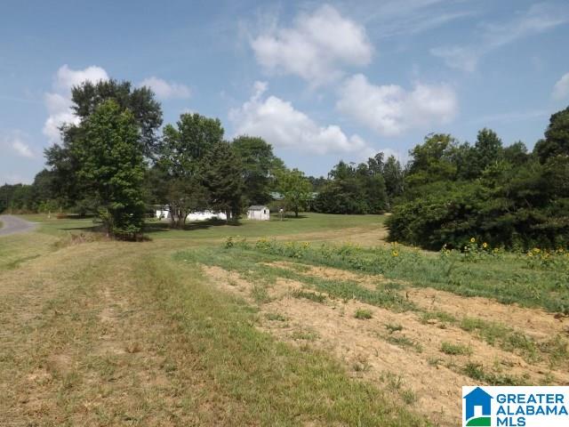 915 Burgett Road Altoona, AL 35952 - Photo 3 of 36