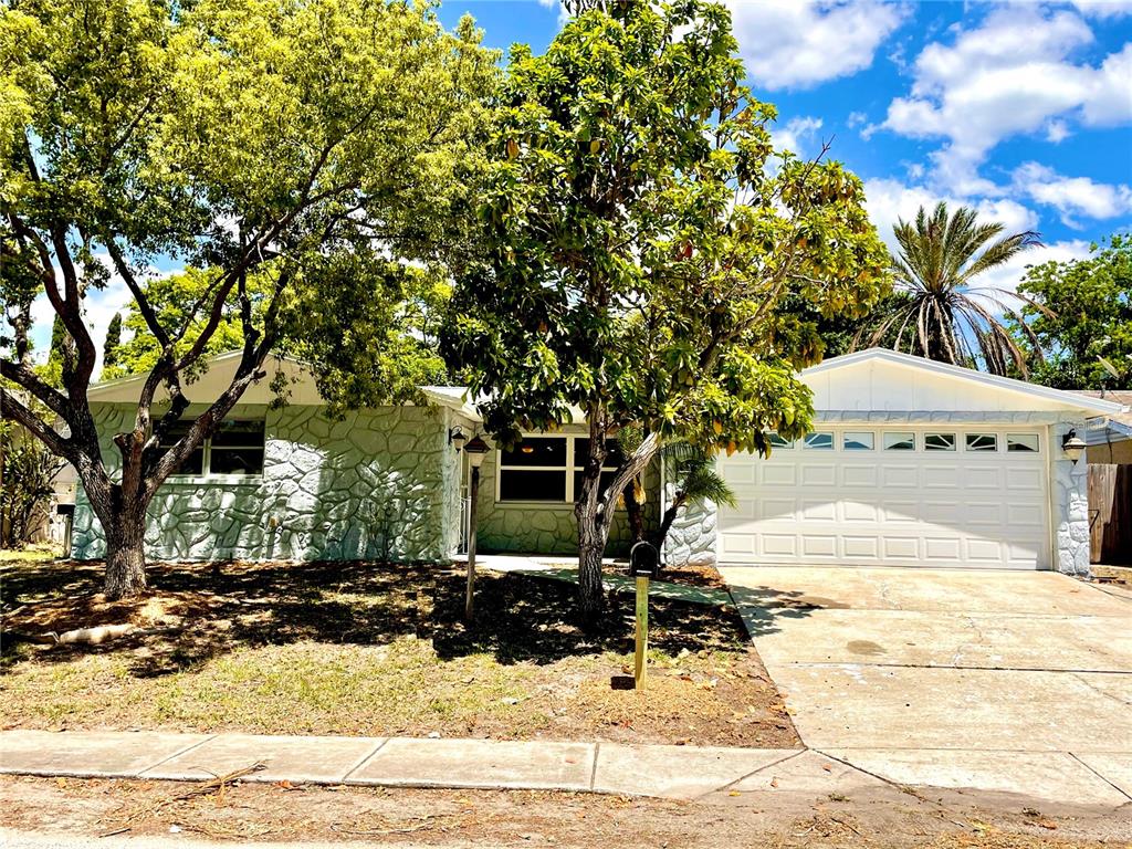 9224 Crabtree Lane Port Richey, FL 34668 - Photo 1 of 1 Gallery Image 1