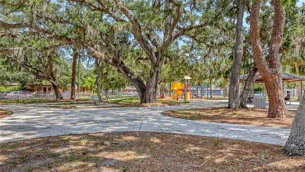 a view of a yard with plants and trees