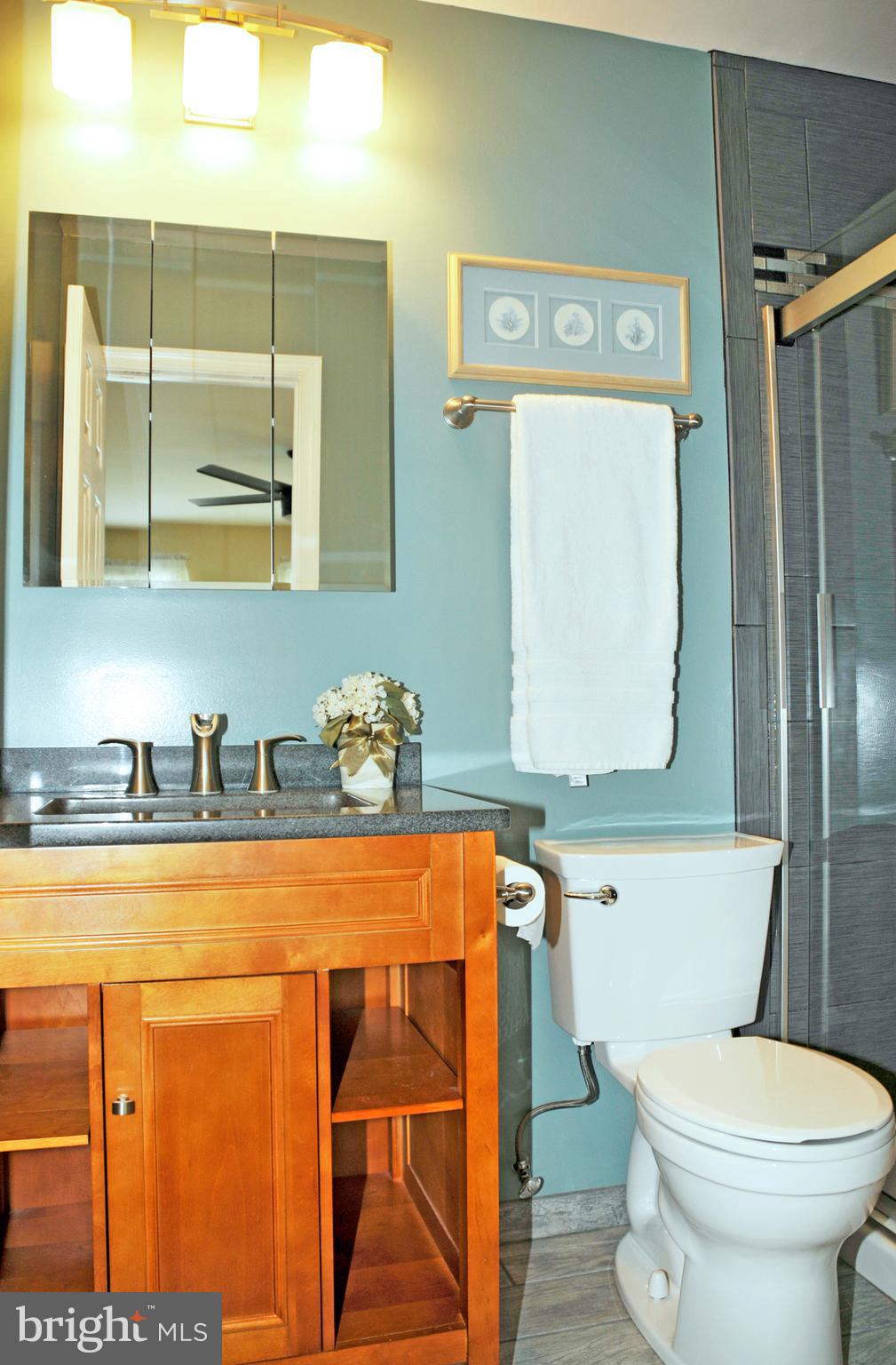 1731 Wilcox Lane Silver Spring, MD 20906 - Photo 21 of 29 master bath upscale,