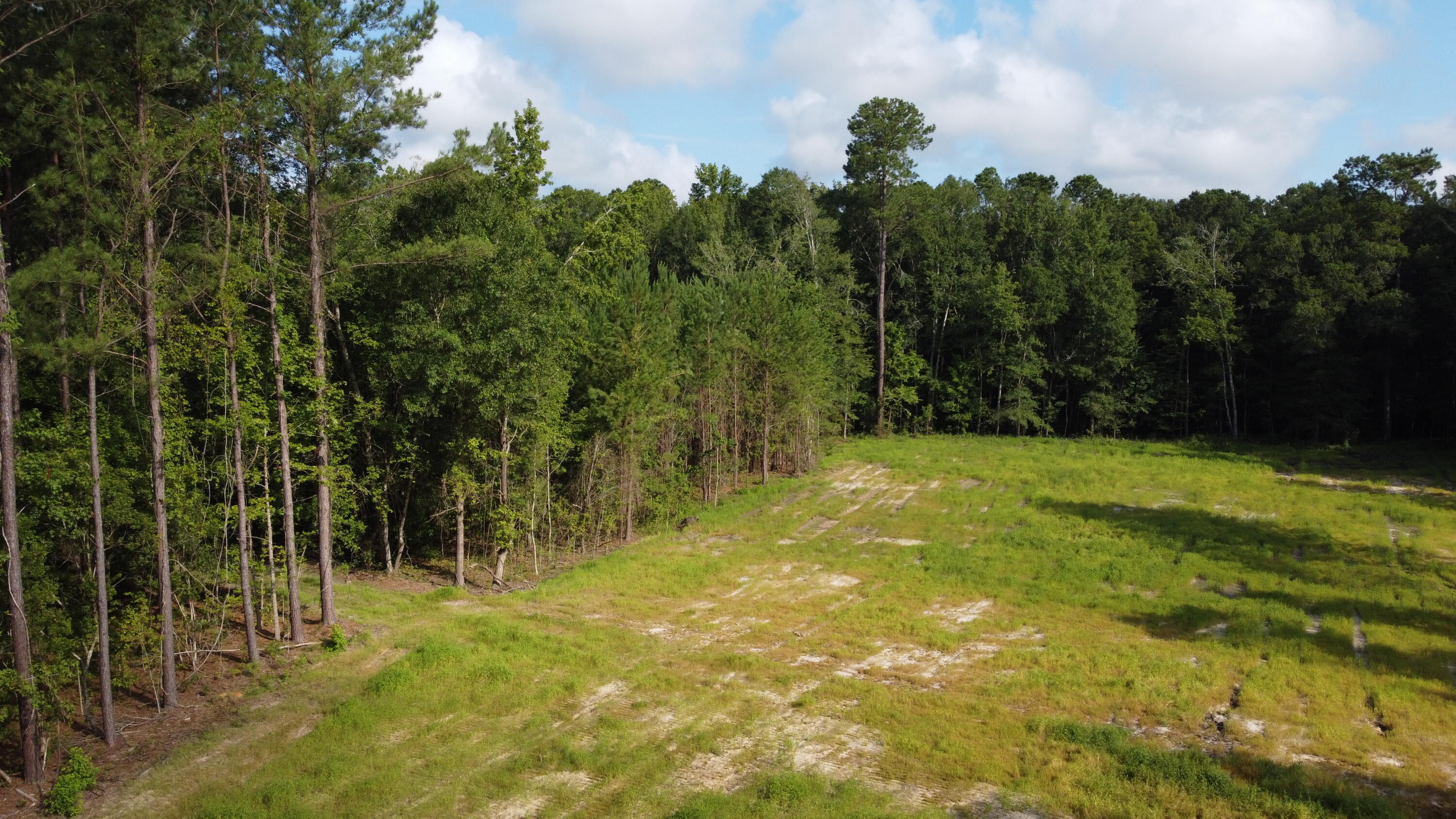 2 Grooms Road Cross, SC 29436 - Photo 16 of 29 DJI_0117 (1)