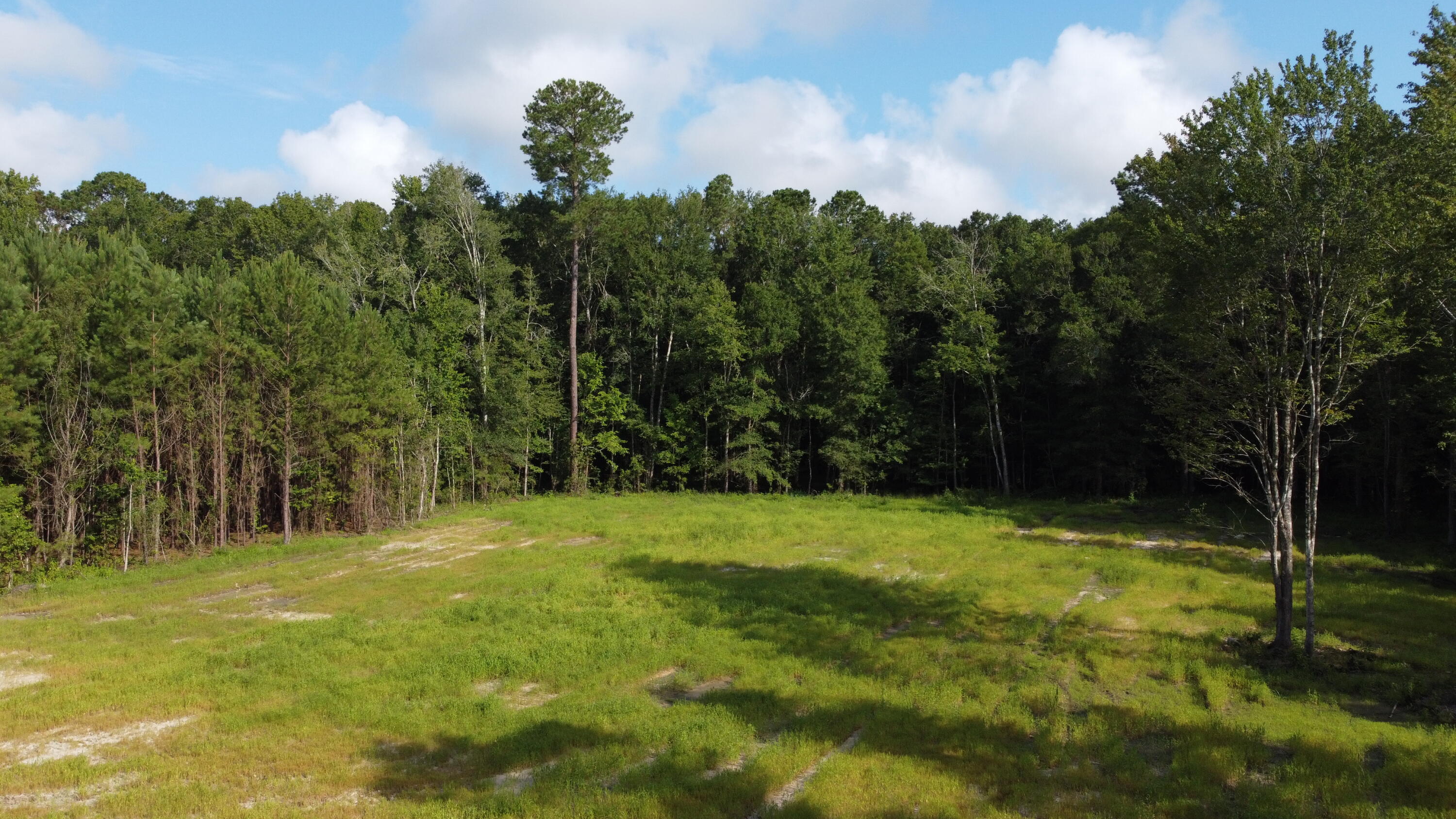 2 Grooms Road Cross, SC 29436 - Photo 19 of 29 DJI_0120 (1)