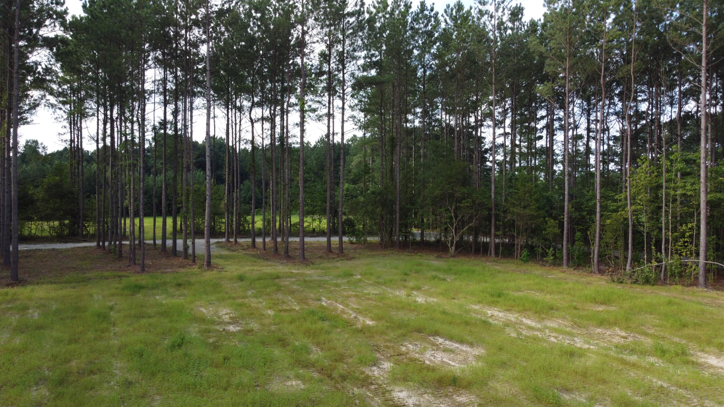 2 Grooms Road Cross, SC 29436 - Photo 20 of 29 DJI_0121 (2)