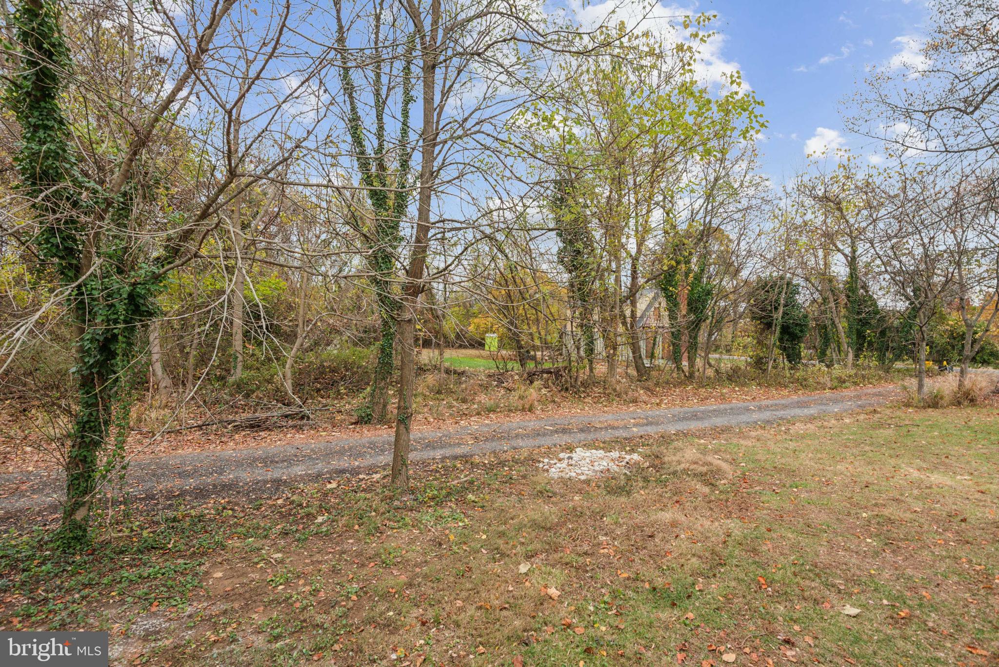 1825 Johnson Road Annapolis, MD 21409 - Photo 38 of 44 a view of a yard with trees