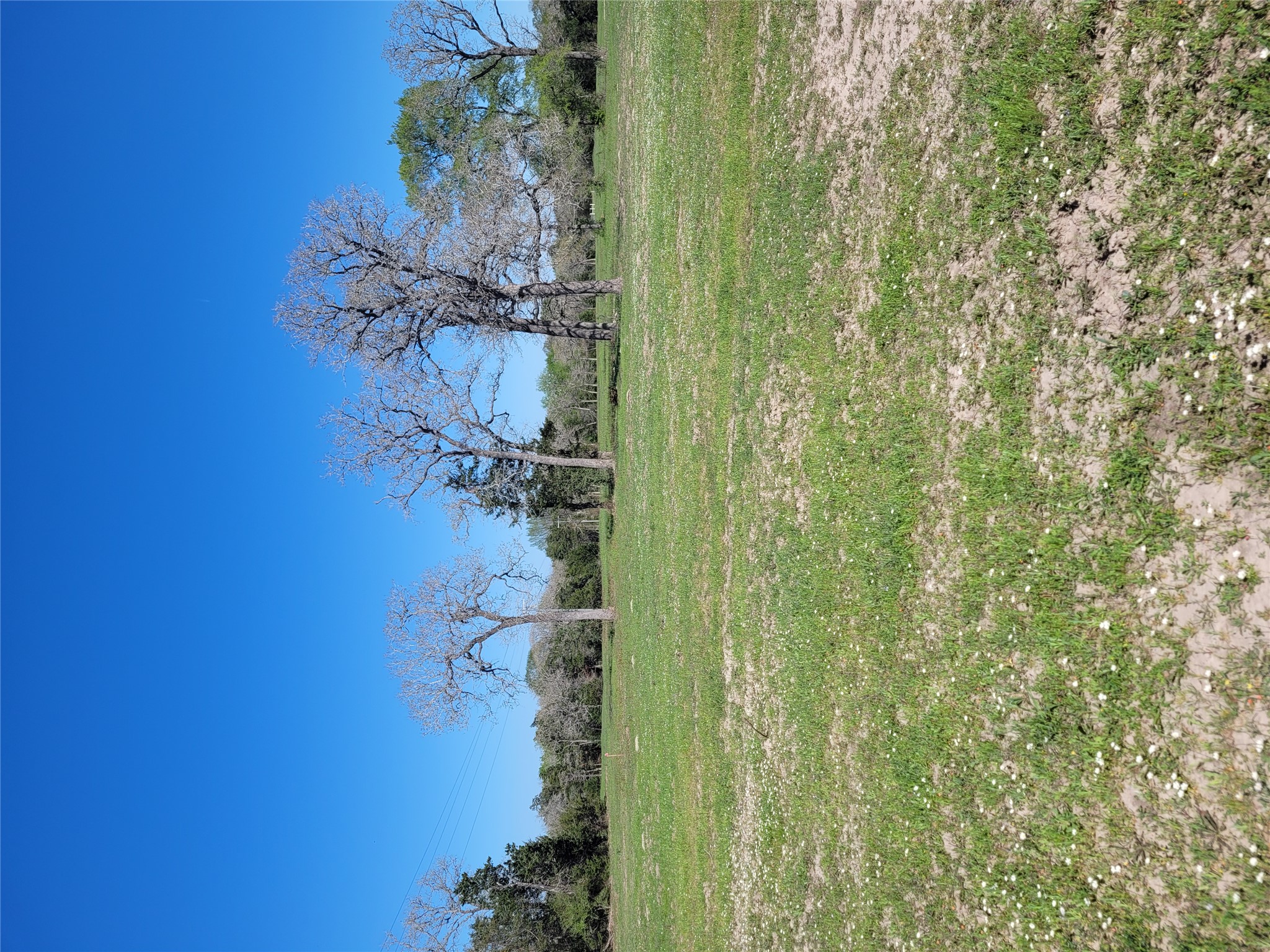 10557 Roy Road Flatonia, TX 78941 - Photo 3 of 8