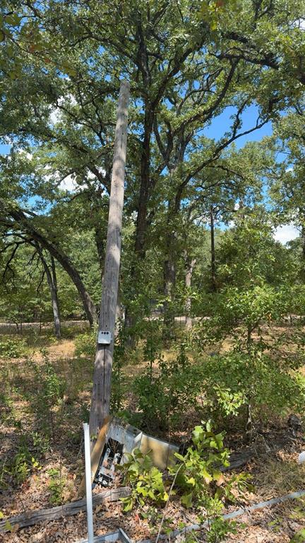 0 R And R Kemp, TX 75143 - Photo 6 of 7 Gallery Image 6