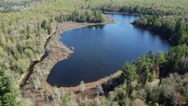 $730,000 | On On Tahquamenon Truck Trail Road, Seney, MI 49883