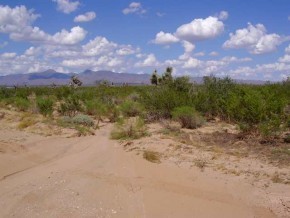 2146 South John Wayne Road Yucca, AZ 86438 - Photo 2 of 2 Additional Photo