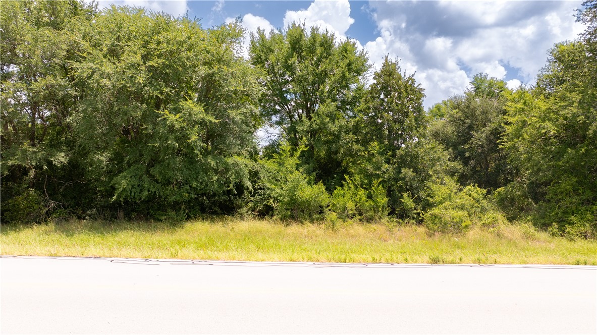 1620 Sebesta Road College Station, TX 77845 - Photo 4 of 18 View of undeveloped land