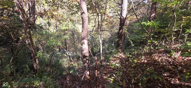 $40,000 | 5755 East County Road 500 North, Shelburn, IN 47879