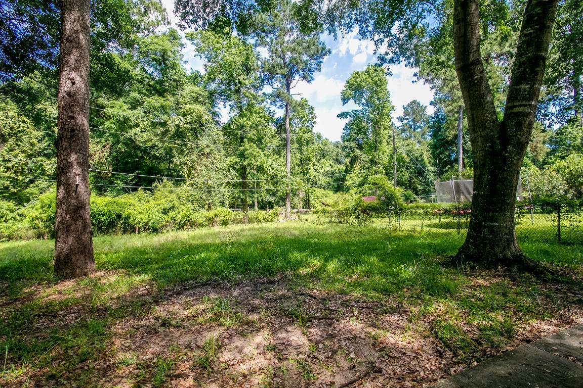 24615 Wilderness Road Spring, TX 77380 - Photo 4 of 34 a view of outdoor space and a yard