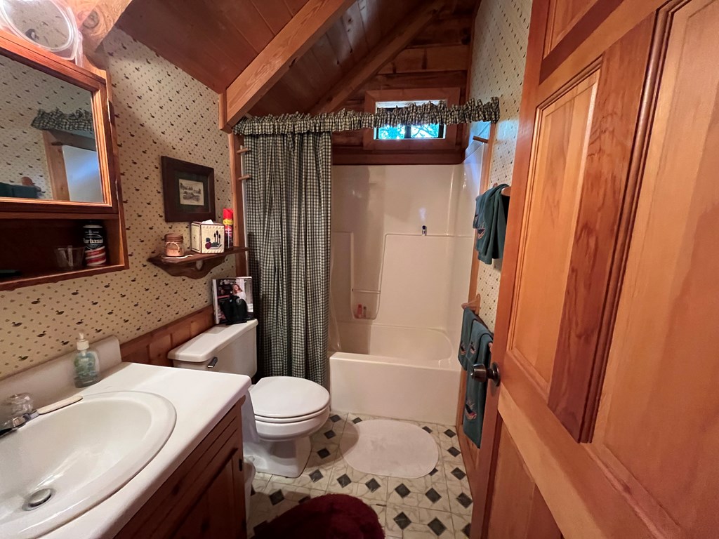 3021 Hanging Dog Road Murphy, NC 28906 - Photo 35 of 68 a bathroom with a sink toilet and shower