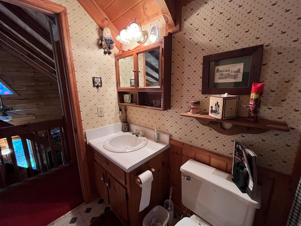 3021 Hanging Dog Road Murphy, NC 28906 - Photo 36 of 68 a bathroom with a sink a mirror and a toilet