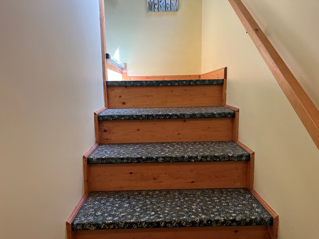 3021 Hanging Dog Road Murphy, NC 28906 - Photo 44 of 68