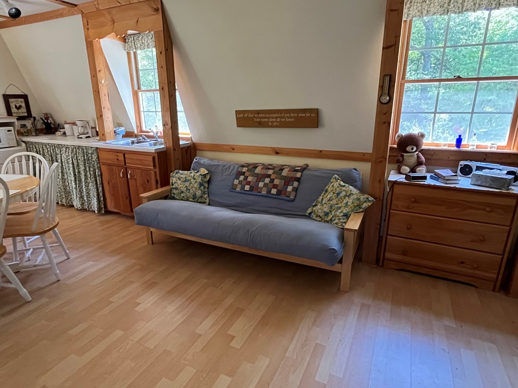 3021 Hanging Dog Road Murphy, NC 28906 - Photo 51 of 68 a living room with furniture and a window