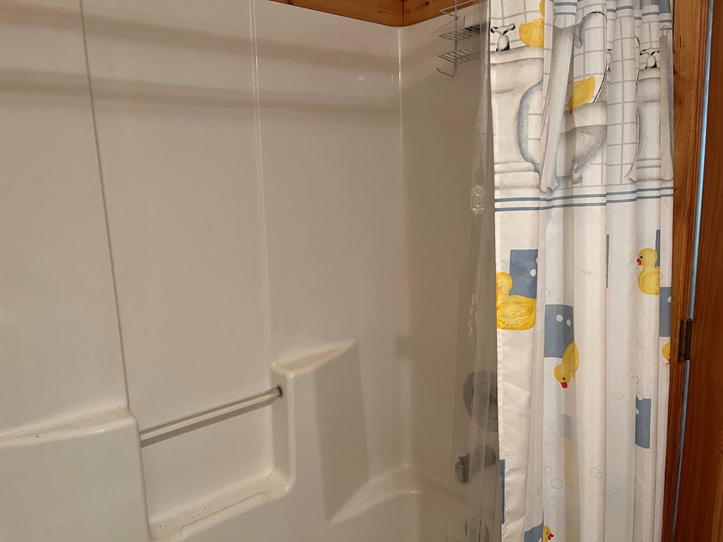 3021 Hanging Dog Road Murphy, NC 28906 - Photo 53 of 68 a bathroom with a bathtub