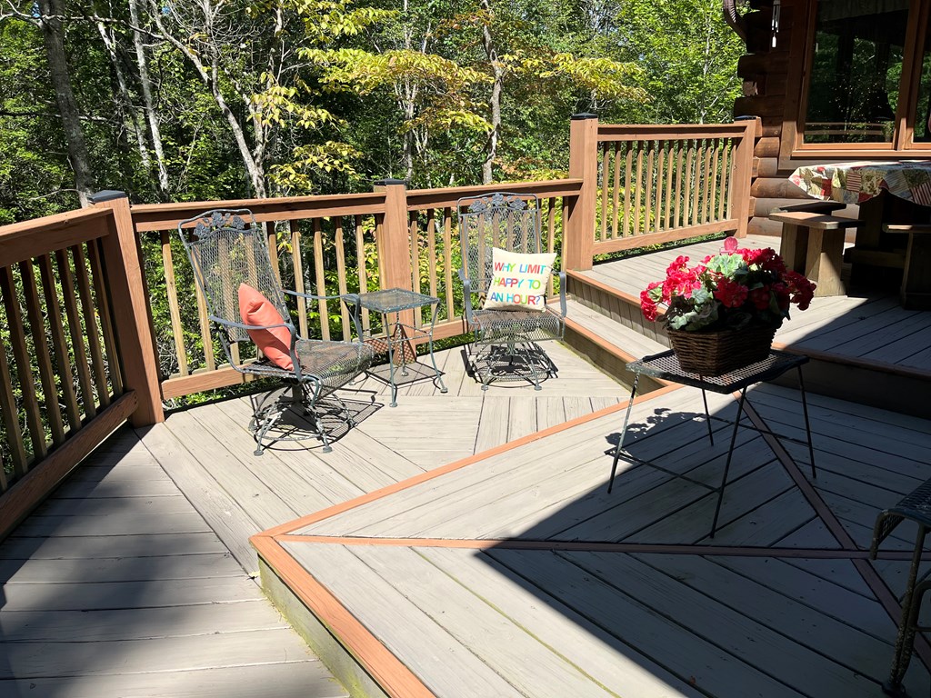 3021 Hanging Dog Road Murphy, NC 28906 - Photo 60 of 68