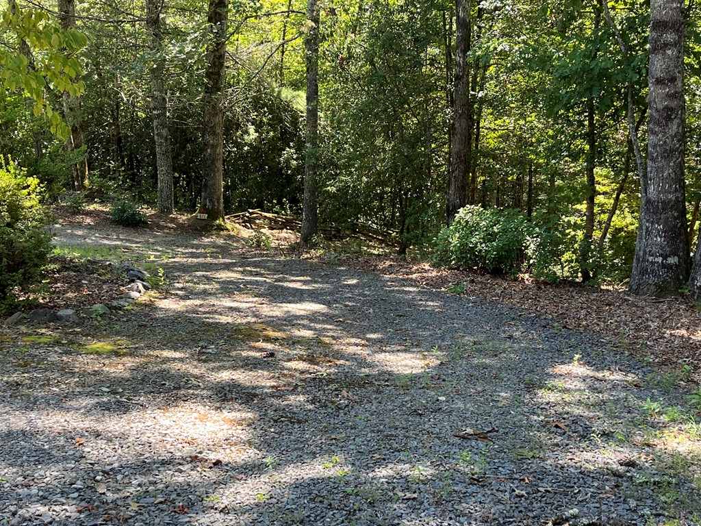 3021 Hanging Dog Road Murphy, NC 28906 - Photo 65 of 68 a view of outdoor space with trees