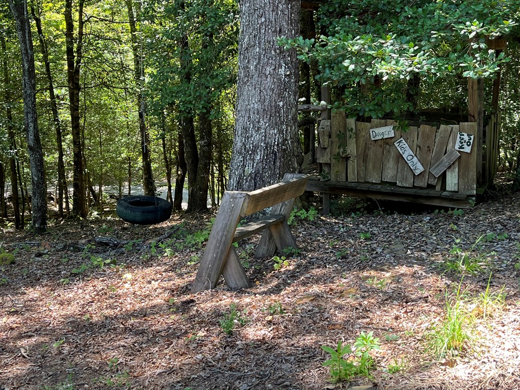 3021 Hanging Dog Road Murphy, NC 28906 - Photo 66 of 68 a backyard of a house with barbeque oven table and chairs