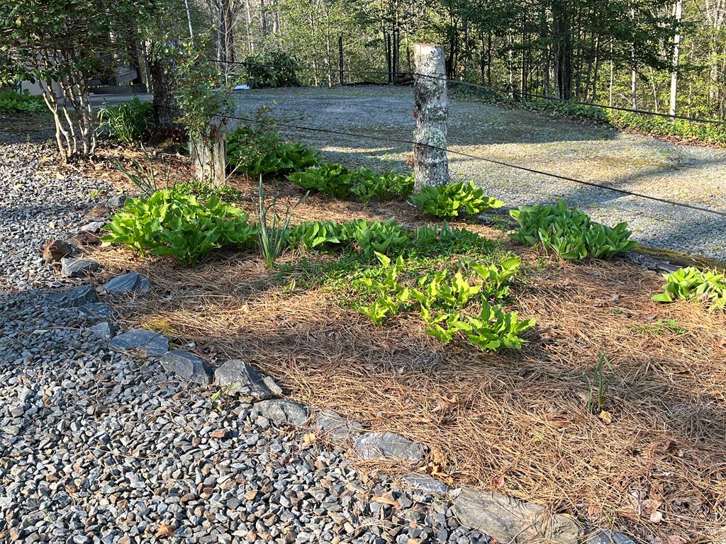 3021 Hanging Dog Road Murphy, NC 28906 - Photo 70 of 71