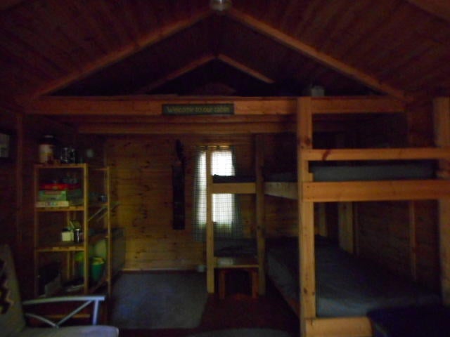 0 Gager Road Curtis, MI 49820 - Photo 37 of 41 Gallery Image 37
