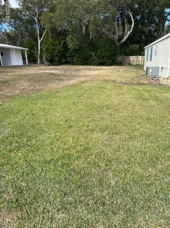 a view of backyard with large trees