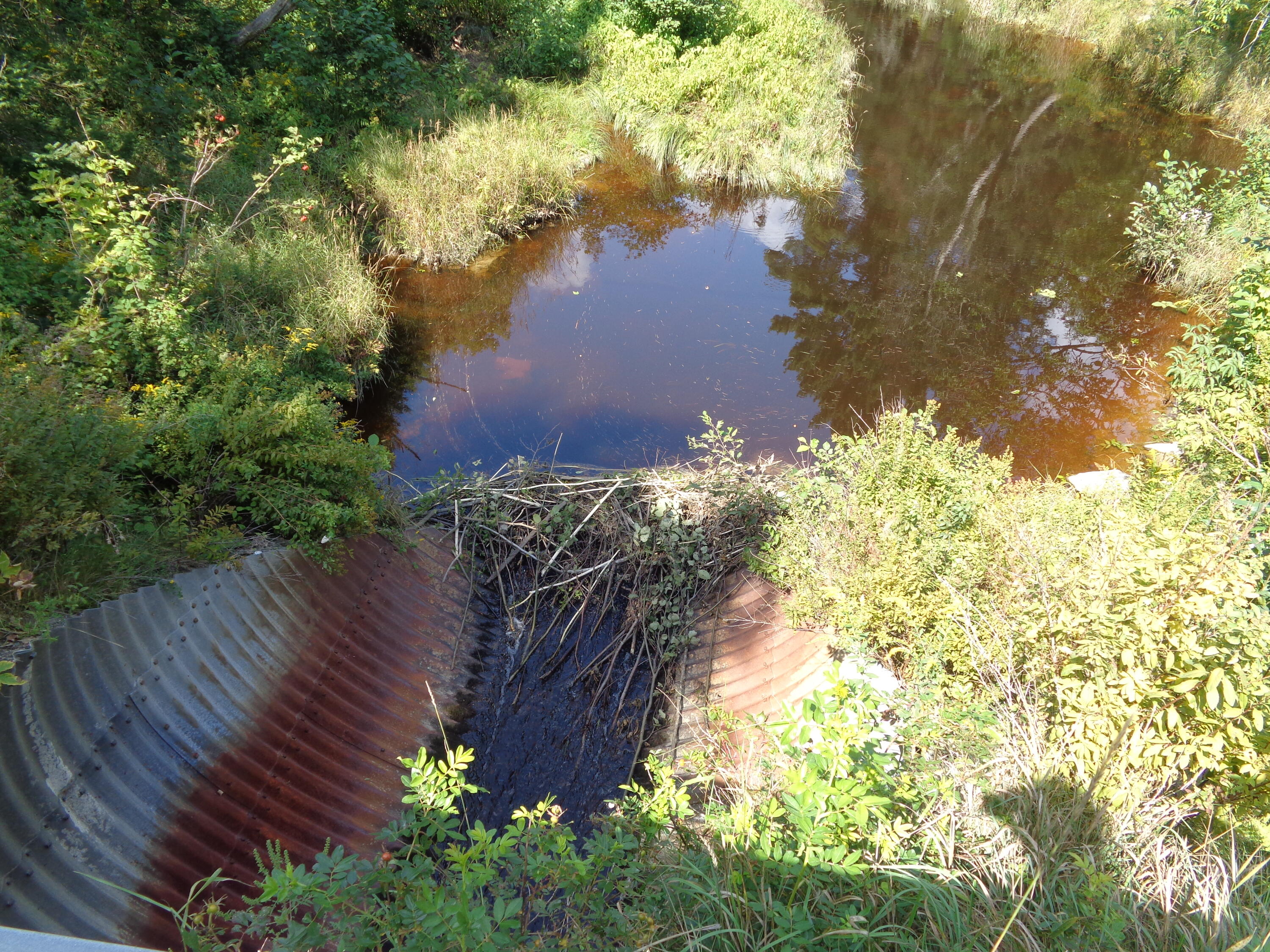 2068 Mariaville Road Ellsworth, ME 04605 - Photo 26 of 27 AKA Dumb Brook