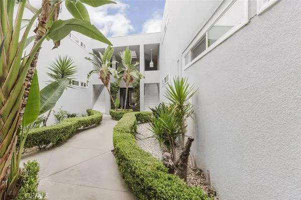 a plant is in front of a door