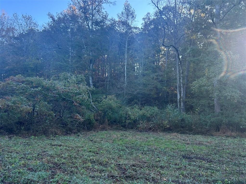 0 Old Columbus Road Bowdon, GA 30108 - Photo 13 of 26