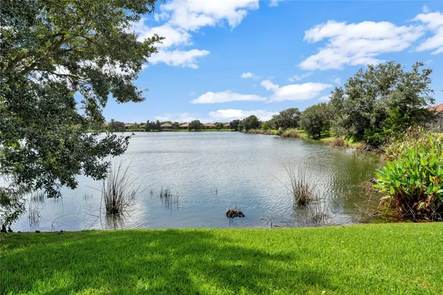 a view of a lake from a yard