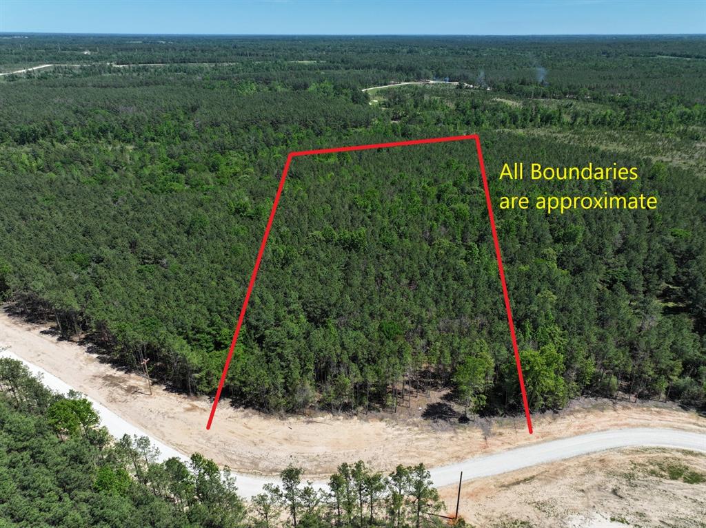 475 Cherokee Trail Lovelady, TX 75851 - Photo 1 of 11 a view of a wooden bridge