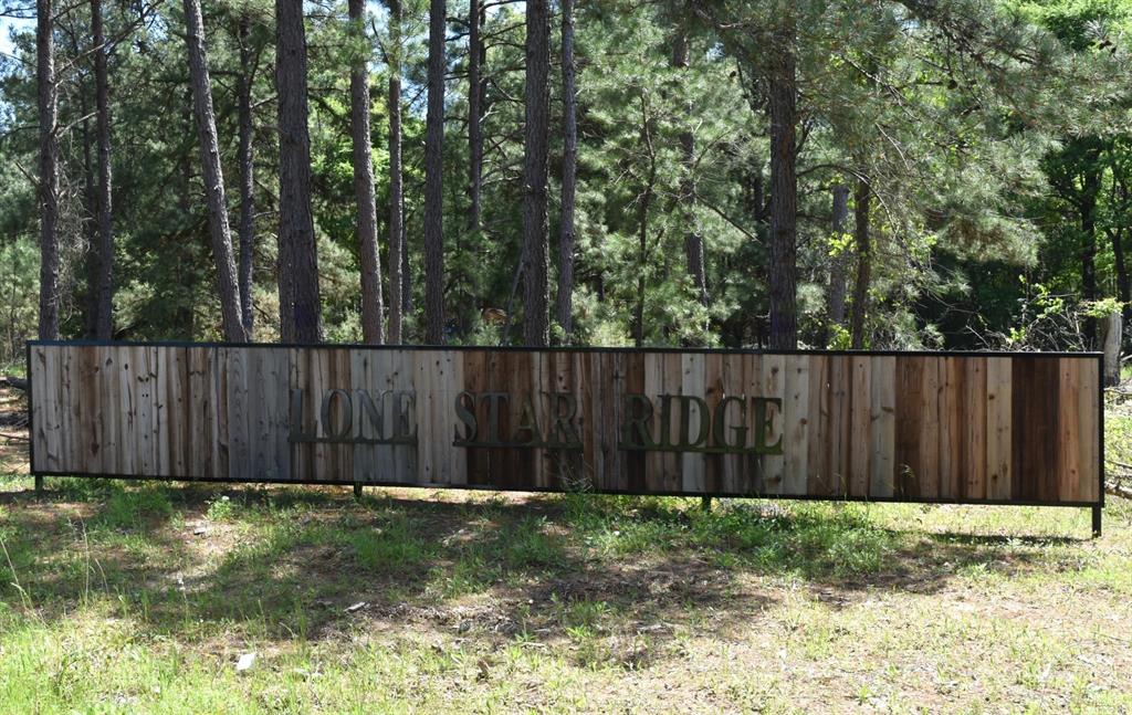 475 Cherokee Trail Lovelady, TX 75851 - Photo 3 of 11 a wooden fence with trees in the background