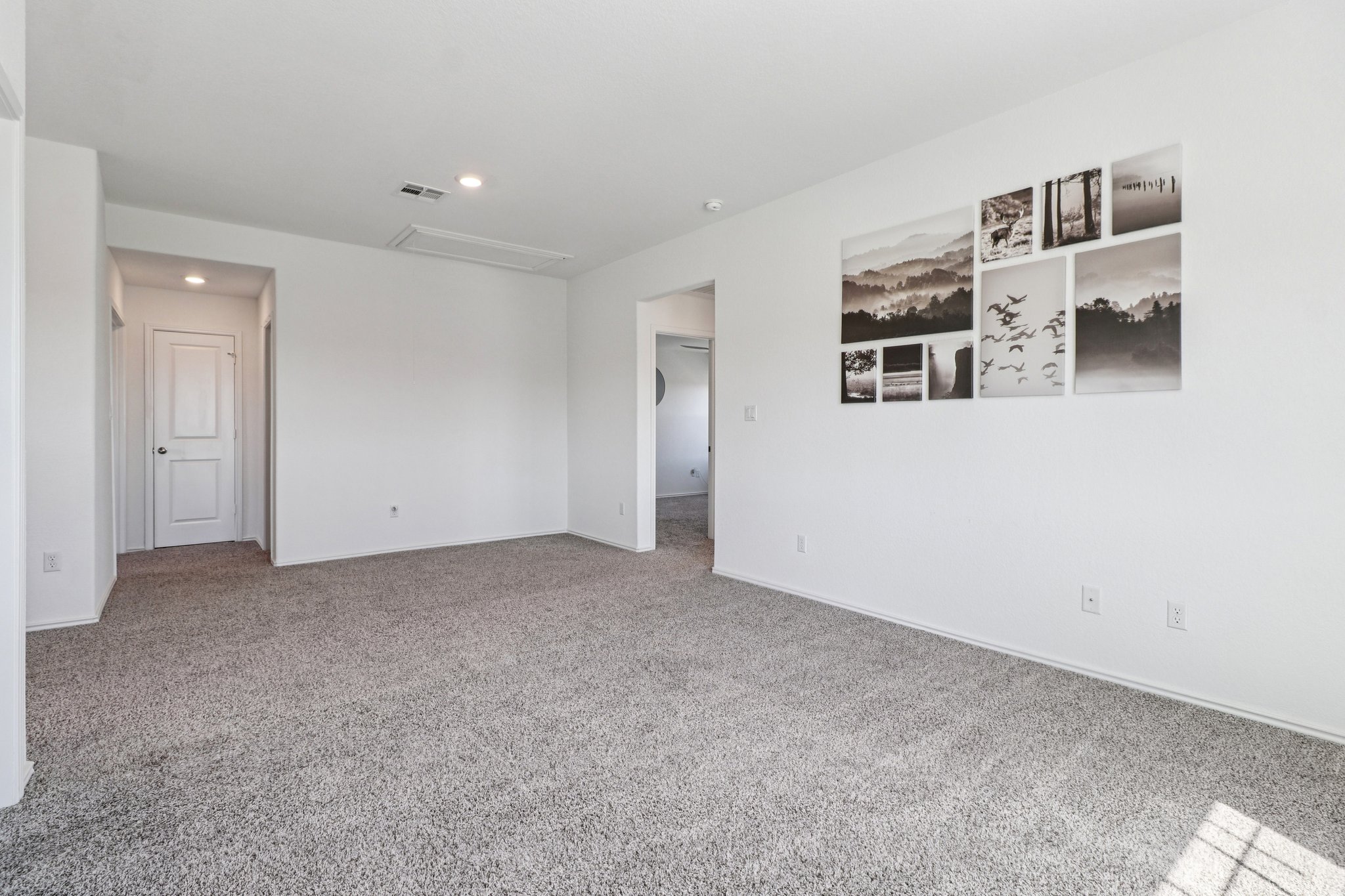 1201 Mallow Road Leander, TX 78641 - Photo 25 of 40 Empty room featuring light carpet and recessed lighting