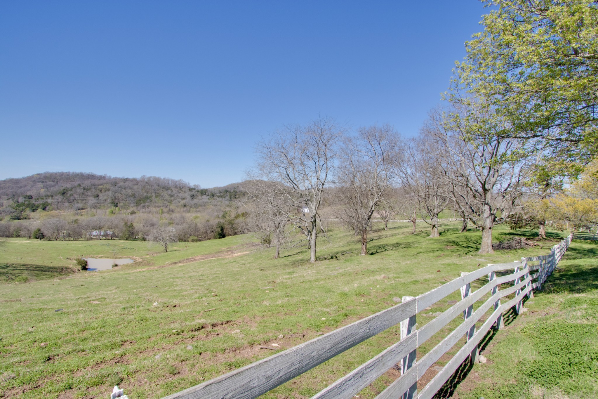 0 Sullivan Bend Road Elmwood, TN 38560 - Photo 4 of 12