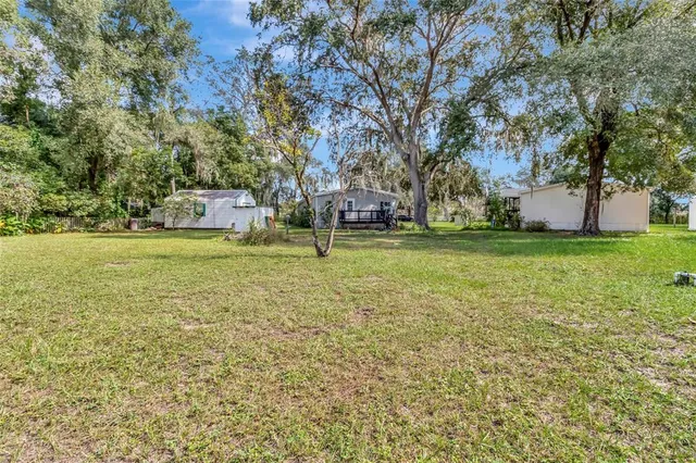 a view of a field with large trees